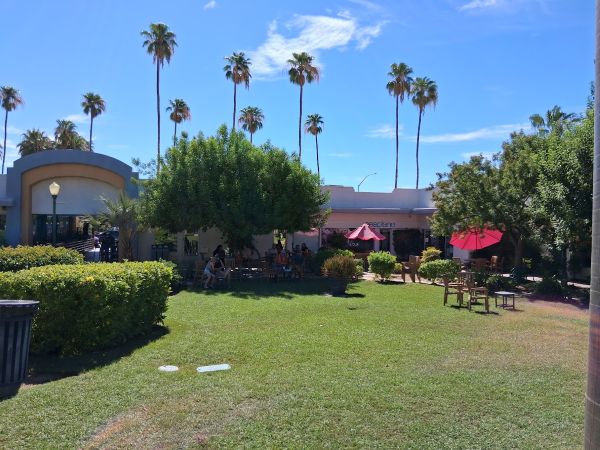 Koffi Coffee North Palm Springs Back Garden