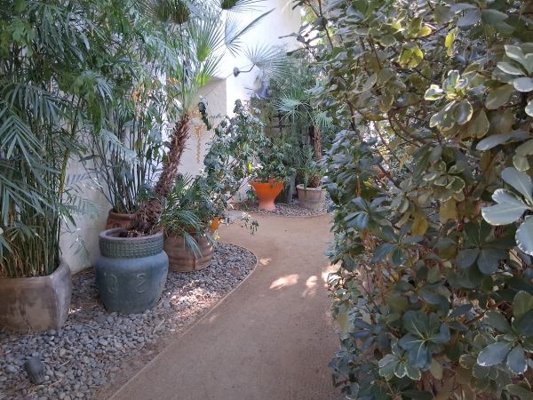 Shaded garden walkway at Parker Palm Springs lined with potted palms and foliage leading toward Counter Reformation.