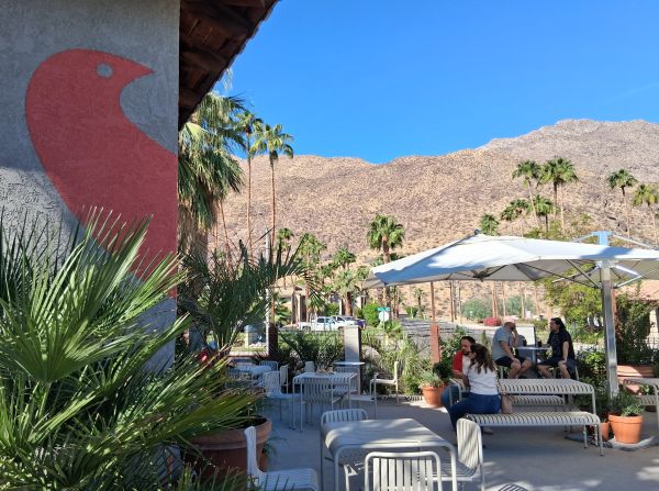 Outdoor patio at Bird Palm Springs with tables, umbrellas, potted palms, and a large red bird mural against the desert mountain backdrop.